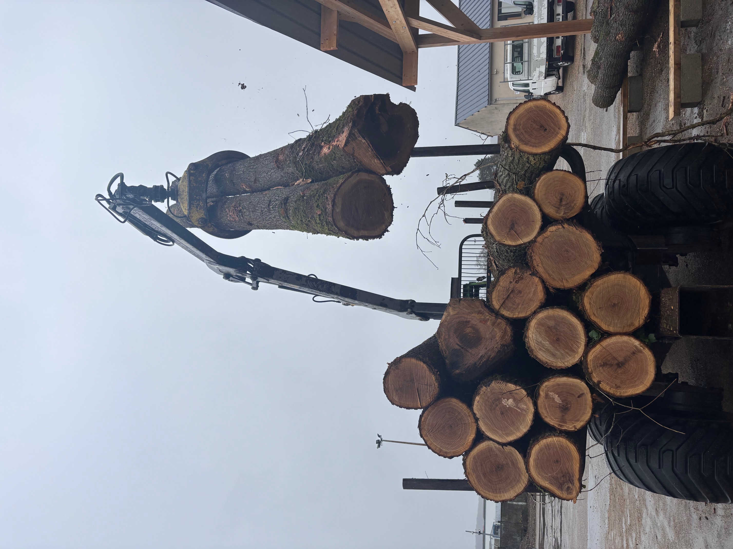 Chargement de grumes sur une remorque de scierie artisanale