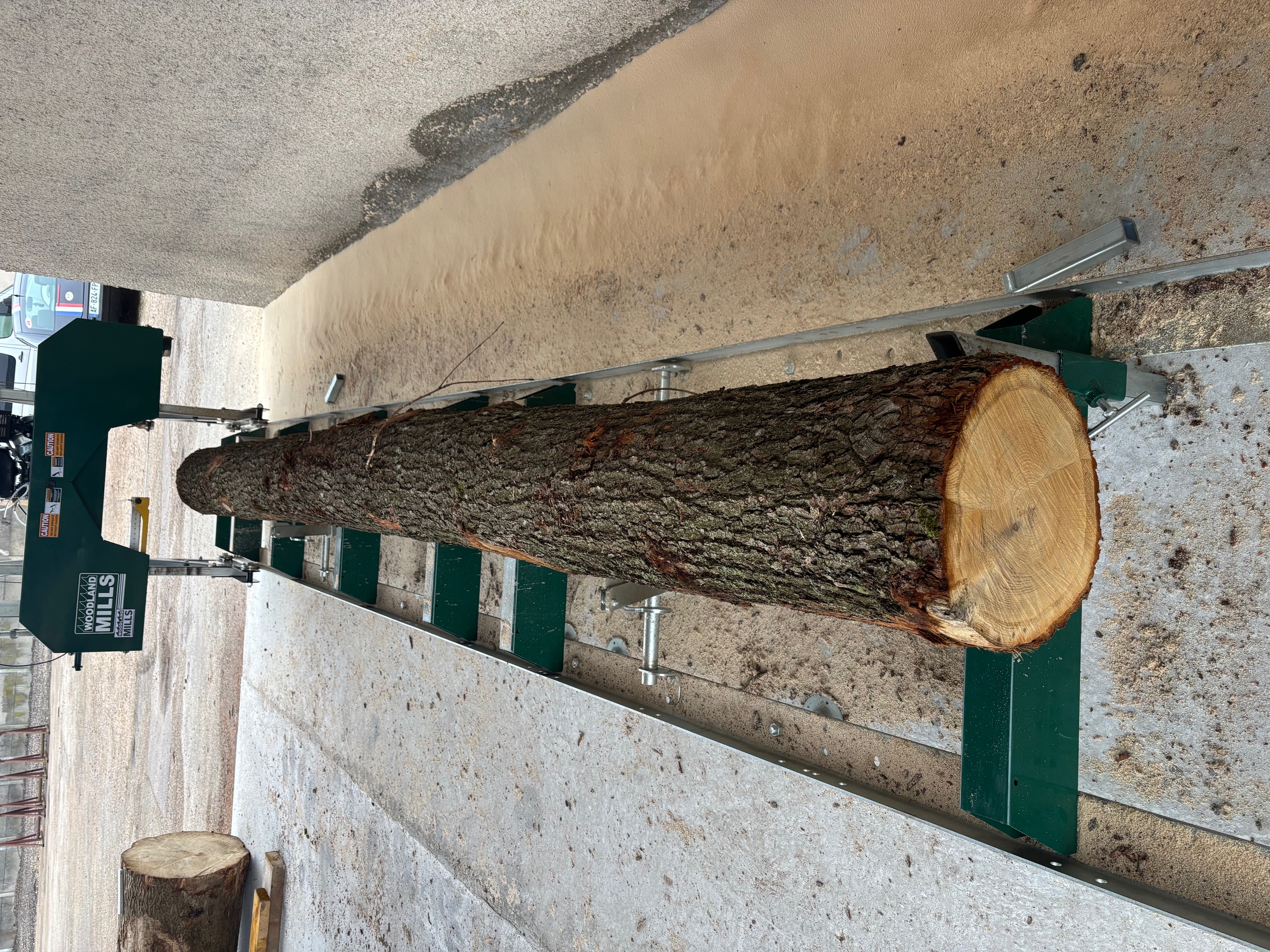 Grume de chene installee sur le banc de sciage avant debit
